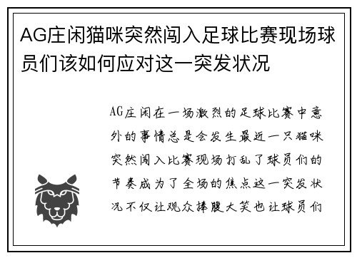 AG庄闲猫咪突然闯入足球比赛现场球员们该如何应对这一突发状况